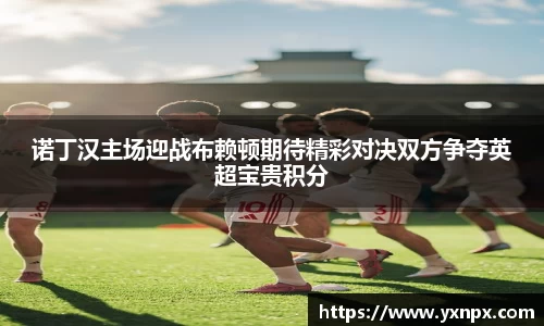 诺丁汉主场迎战布赖顿期待精彩对决双方争夺英超宝贵积分