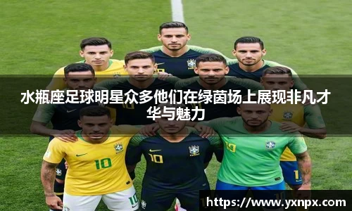 BB贝博艾弗森官方网站